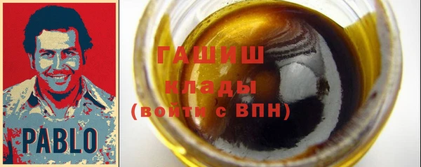 молекула духа Богданович