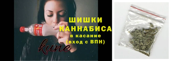 spice Белокуриха