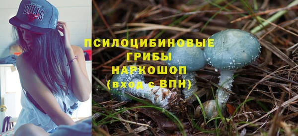 шишки Беломорск