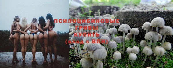 мдпв Белоозёрский