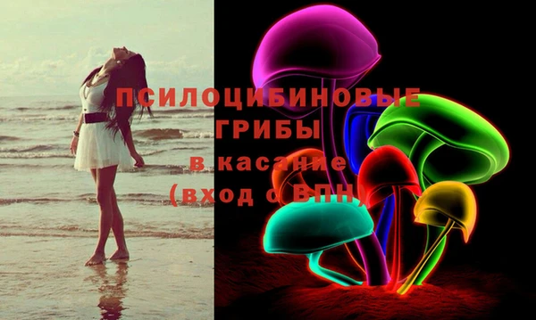 шишки Беломорск