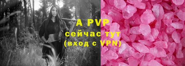 шишки Беломорск